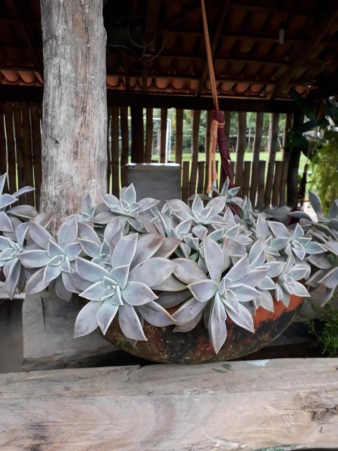 Chacara Bica Dagua Pirenopolis